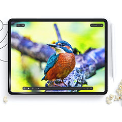 2X FILM PROTETTIVO HOFI PAPER PRO+ 2-PACK IPAD 10.2 7 / 8 / 9 / 2019-2021 OPACO TRASPARENTE